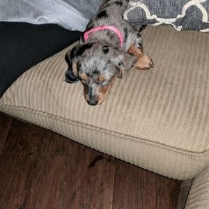 Meet your Posher, Greg